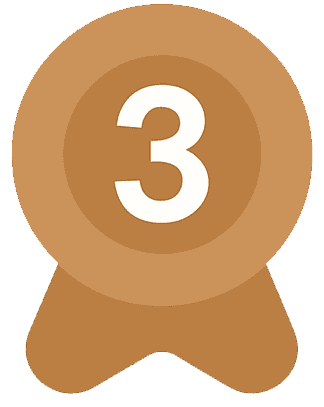 bronze medal
